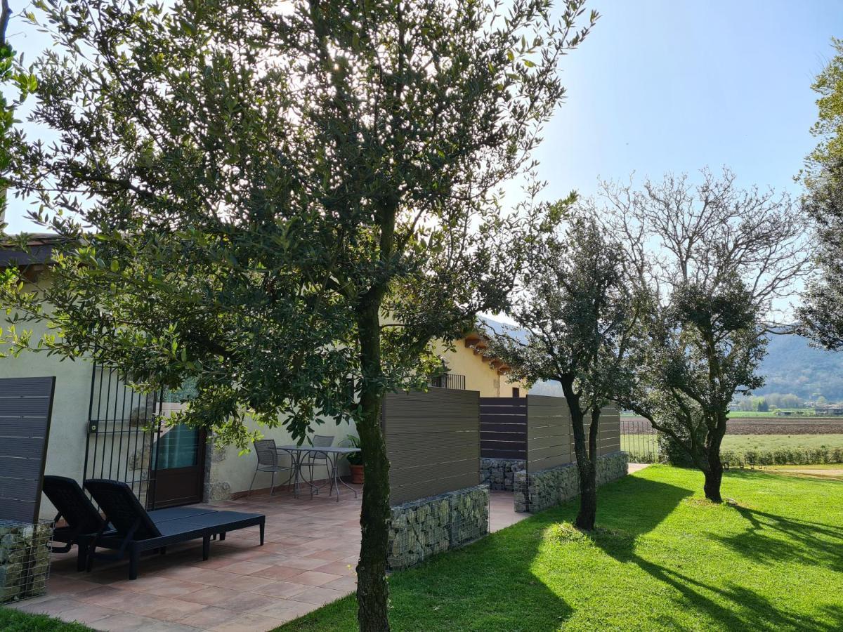 Hostal Mas El Barber (Adults Only) Mallol Exterior foto